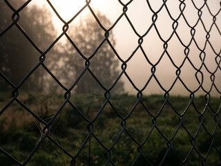 trees in the morning fog and in the foreground a fence