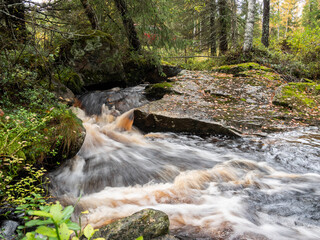 waterfall in the forest