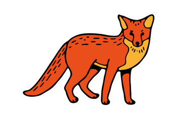 Vector illustration of a fox on a white background.