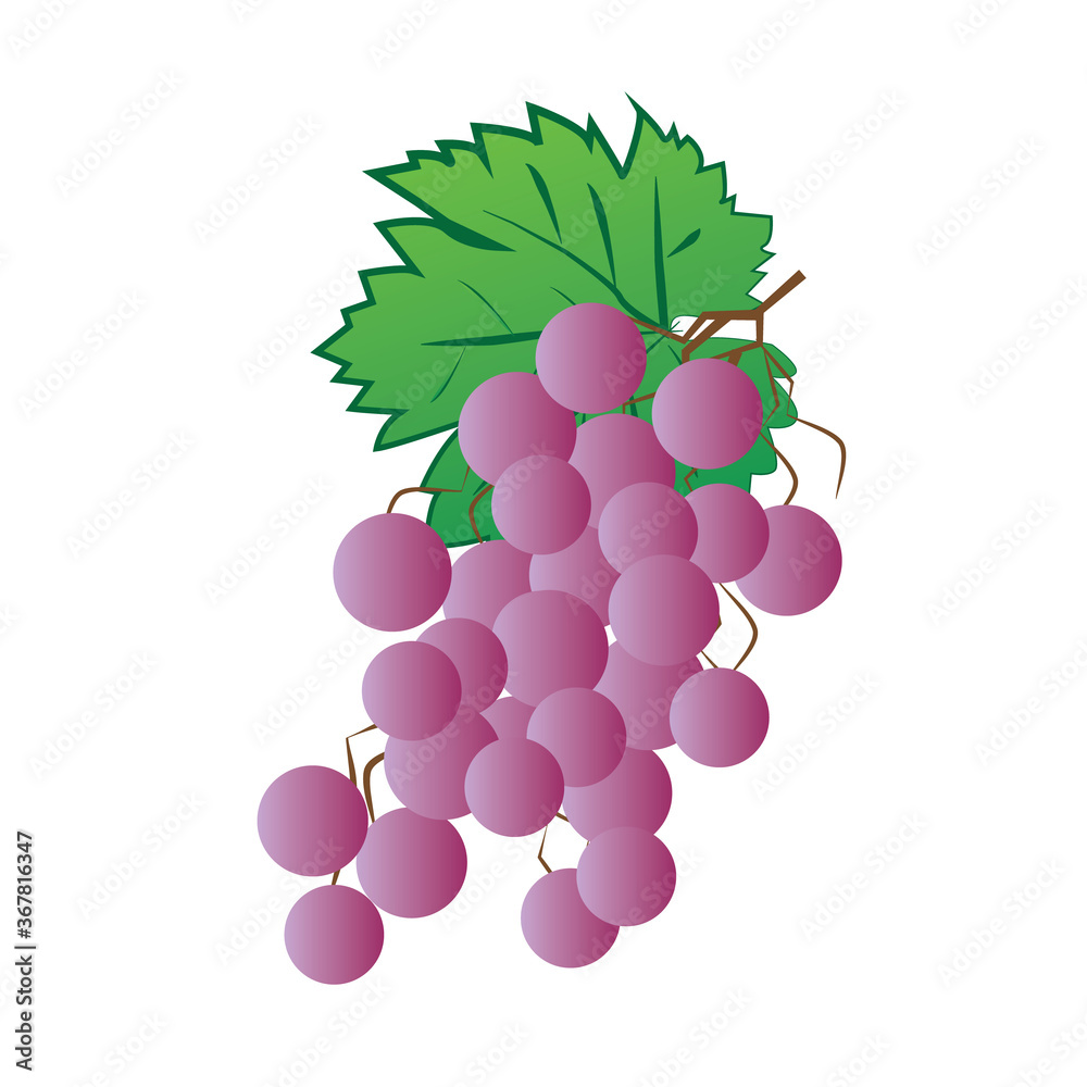 Wall mural vector logo grape design in eps 10. simple template and ready to use.