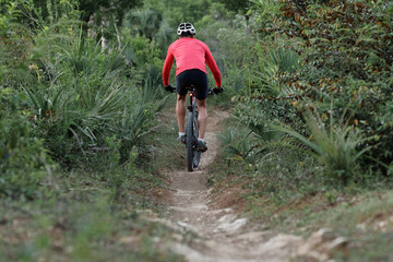 Back view of a cyclist riding narrow footpath in tropical forest, wearing bike helmet and red...