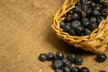 Blueberry in a wicker basket on a background of homespun fabric with a rough texture. Close up.