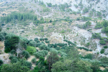 Fototapeta na wymiar mountain landscape. mountain view with trees and bushes