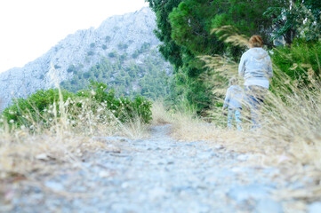 Naklejka premium an old overgrown road in the mountains and people walking on it
