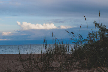 Sand dunes on the beach at sunset