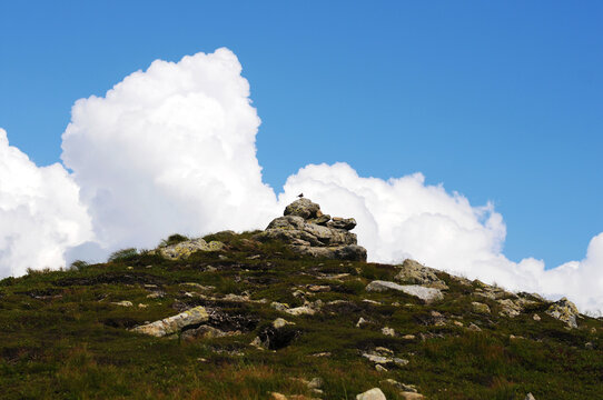 An adult skylark perched and singing on a big rock in front of a blue sky.