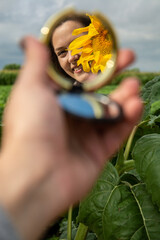 Sunflower and look through the mirror