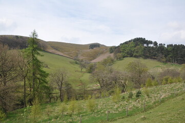 landscape in the hills