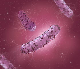 Dangerous pathogenic bacteria Escherichia coli, colibacillus, pathogen of stomach infection, medical abstract background, concept, 3D rendering