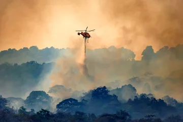 Foto op Plexiglas Brandweerhelikopter die water laat vallen op bosbrand © toa555