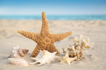 Fototapeta na wymiar Starfish and beautiful seashells on sandy beach