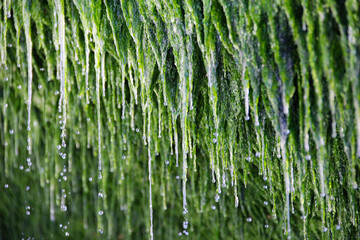 Fuite d'eau
