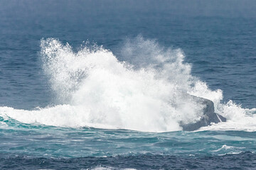 rocky coast of the island of Ouessant, off Brittany