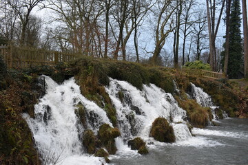 waterfall in the forest