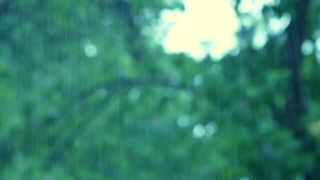 Raining day 4k video