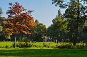 Fototapeta na wymiar Beautiful urban park located at Amsterdam in Netherlands.