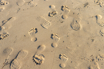 FOOTPRINTS OF SHOES AND FEET