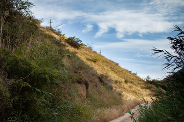 path in the green hills