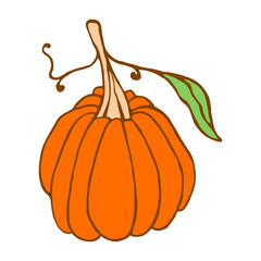 Cute hand drawn pumpkin. Design element for food label, Halloween and Thanksgiving day decoration