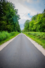 Route forestière de la Forêt de Chaux