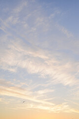 Sunrise on the lake - wooden boat on the lake