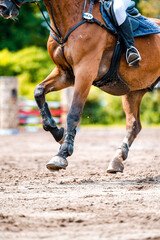 Detail of horse during horse showjumping competition. Close up photo of horse accesories, saddle,...