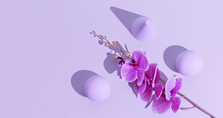 Abstract geometry and flowers minimal background. Pastel purple trendy colours. Still life concept
