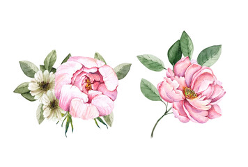 bouquets with pink flowers peonies, watercolor set on white background