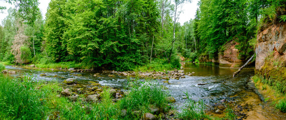 Wild river in forest in green summer