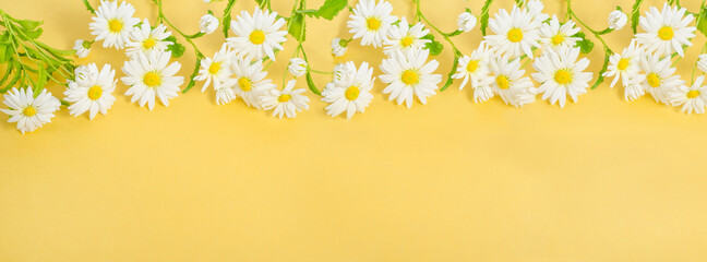 Naklejka na ściany i meble Daisies on a yellow background - banner with copy space, social media cover.