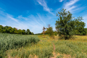 Obraz premium Ukraine, Krivoy Rog, the 16 of July 2020. Abandoned city park with beautiful clouds in the sky.