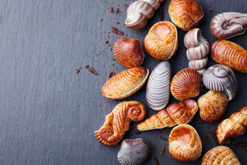 Chocolate candies, traditional Belgian shell shape. Grey slate background. Copy space. Top view.