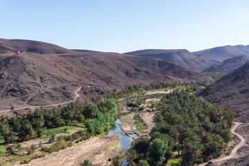 Beautiful Desert oasis landscape in Oasis De Fint near Ourzazate in Morocco, North Africa