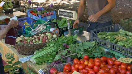 Shopping to the greengrocer, at the local market. Cash payment. Weigher in the foreground.