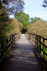 Fototapeta na wymiar Puente de madera en parque natural