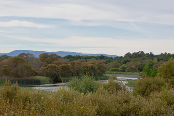Laguna rodeada de vegetación y arboledo