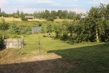 Obraz premium В саду