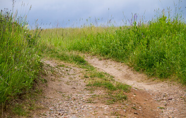 Fototapeta na wymiar path in the green field with dark clouds on background