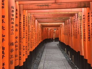 Japan- Kyoto