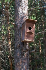 Birdhouse on a tree in the forest.