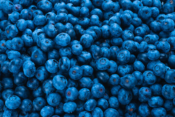 Fresh blueberry background.