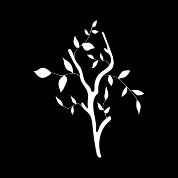 A hand-drawn white branch with leaves on a black background. Image of tree isolated vector contour.