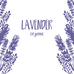 Fototapeta na wymiar Set of template label design of beautiful abstract lavender flowers. Vector illustration