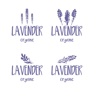 Set of template label design of beautiful abstract lavender flowers. Vector illustration