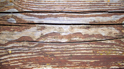 Shabby wood background. Old brown wood planks. Concept image.