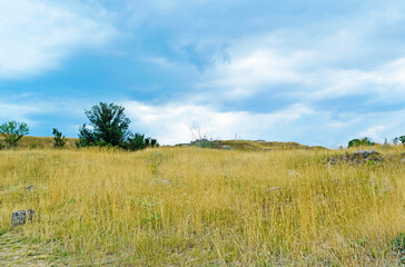 Beautiful landscape of yellow grass and sky on a hill