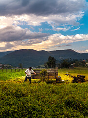 Obraz premium farmer in the field