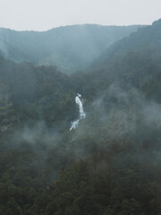 Fototapeta premium Doubtful / Milford sound - New Zealand #16
