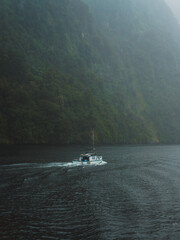 Fototapeta premium Doubtful / Milford sound - New Zealand #7