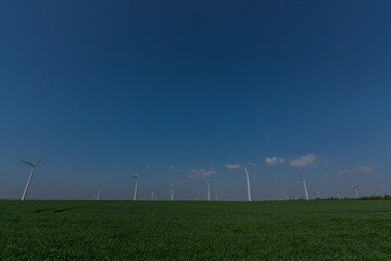 many wind turbines and blue sky
